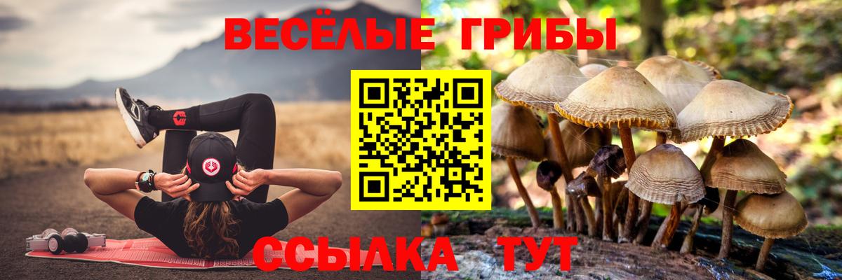 Псилоцибиновые грибы Psilocybine cubensis  Псилоцибиновые грибы мухоморы  Вход с VPN  Корсаков 
